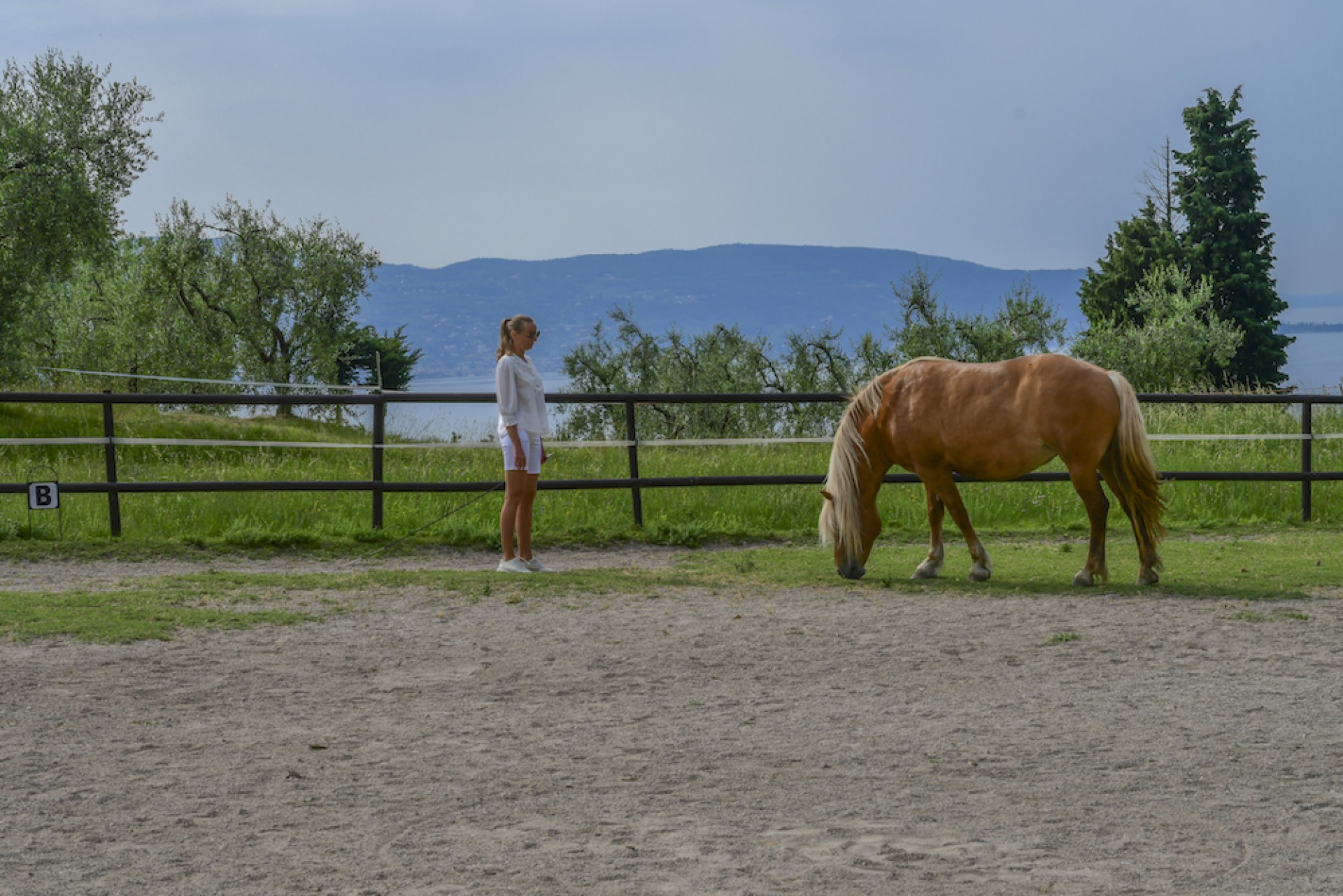 Soulidays Impara a gestire le tue emozioni grazie ai cavalli